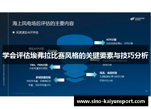 学会评估埃弗拉比赛风格的关键要素与技巧分析