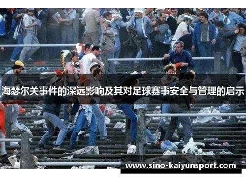 海瑟尔关事件的深远影响及其对足球赛事安全与管理的启示 海瑟尔关事件的深远影响及其对足球赛事安全与管理的启示