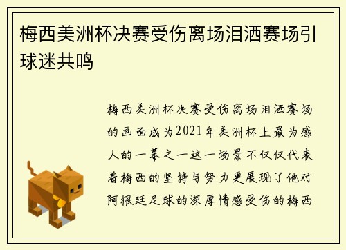梅西美洲杯决赛受伤离场泪洒赛场引球迷共鸣